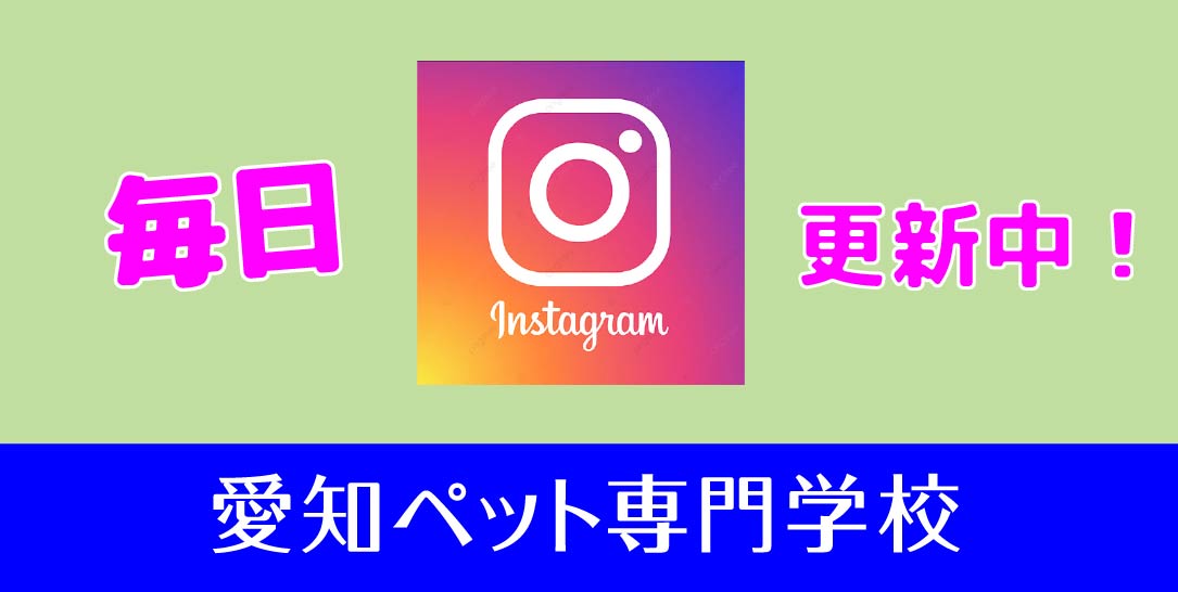 インスタ