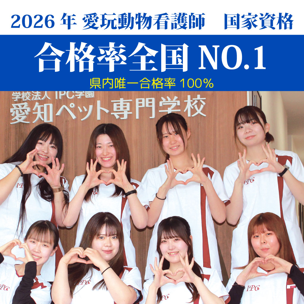 愛玩動物看護師国家試験全国NO.1
