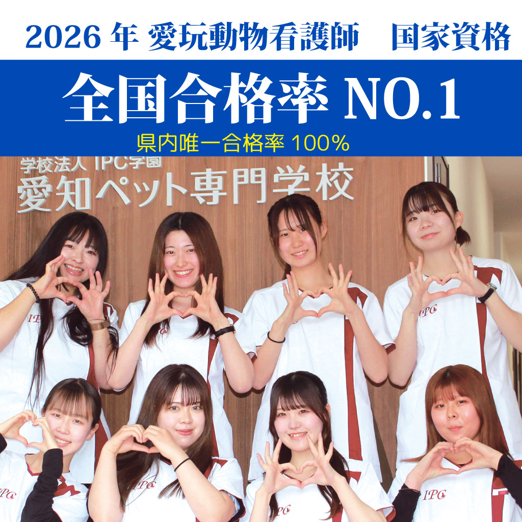 愛玩動物看護師国家試験全国NO.1