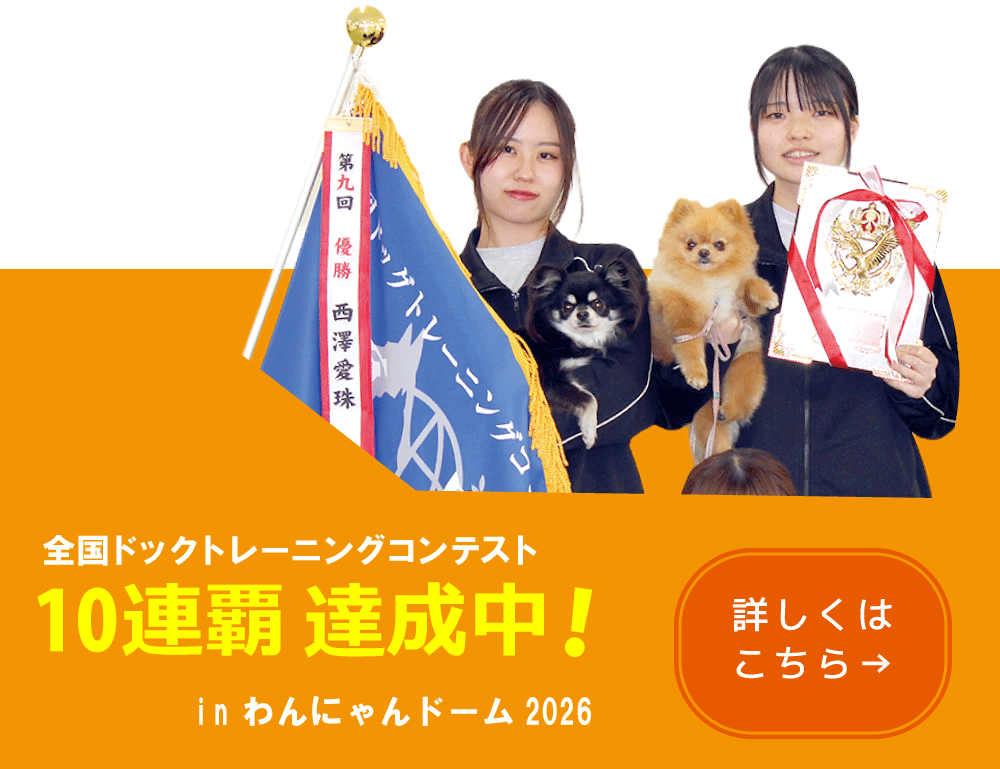 全国ドッグトレーニング　怒涛の10連覇