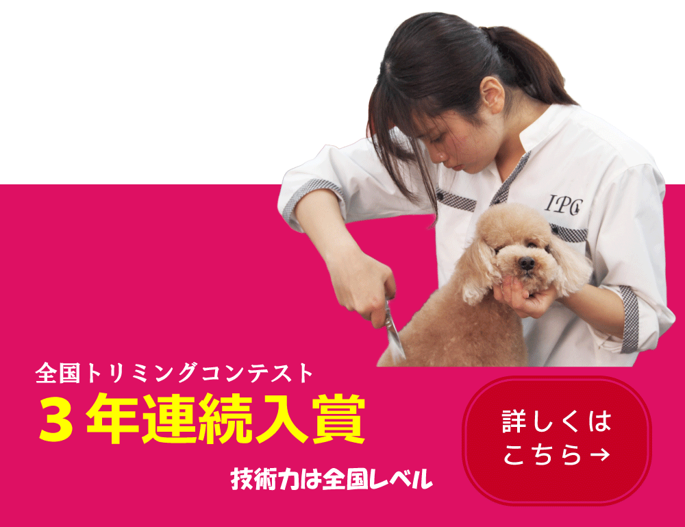 3年連続入賞　ペットトリマー科