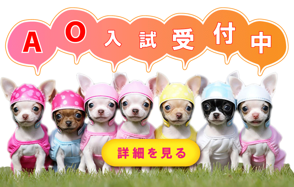 ＡＯ入試