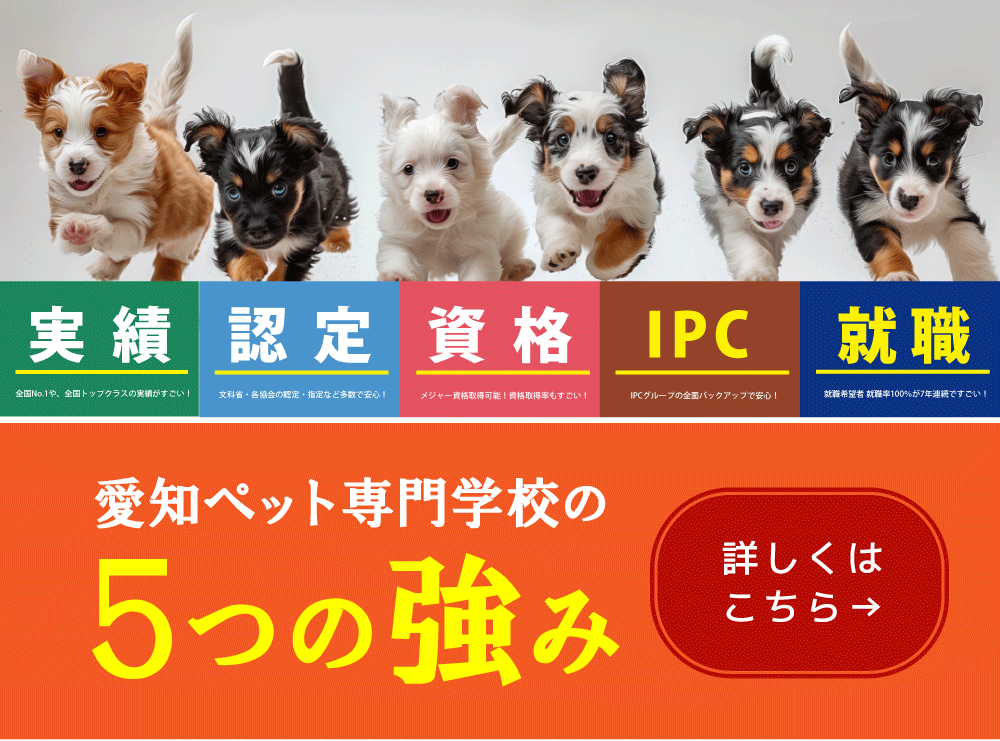 ５つの強み