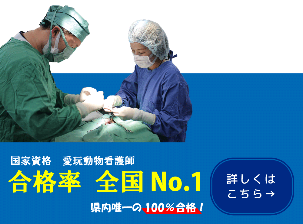 愛玩動物看護師国家試験全国NO.1