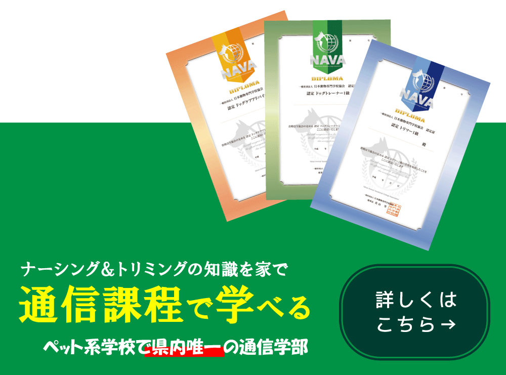 a愛知県初　通信教育で学べるナーシング＆トリミング科