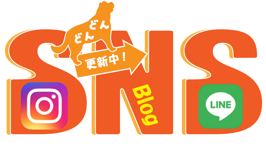 sns