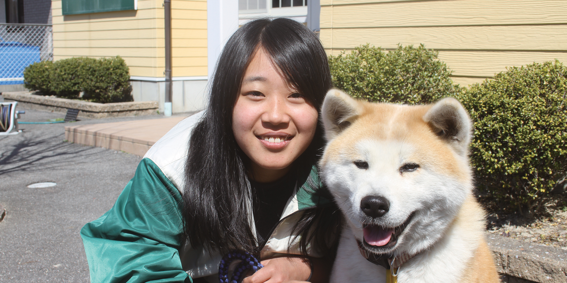 12 11 担当犬体験 日常しつけ編 学校法人ipc学園 愛知ペット専門学校