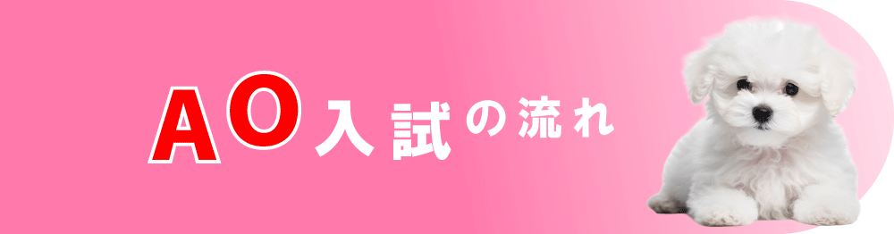 6/1 AO入試受付開始 | 学校法人IPC学園 愛知ペット専門学校