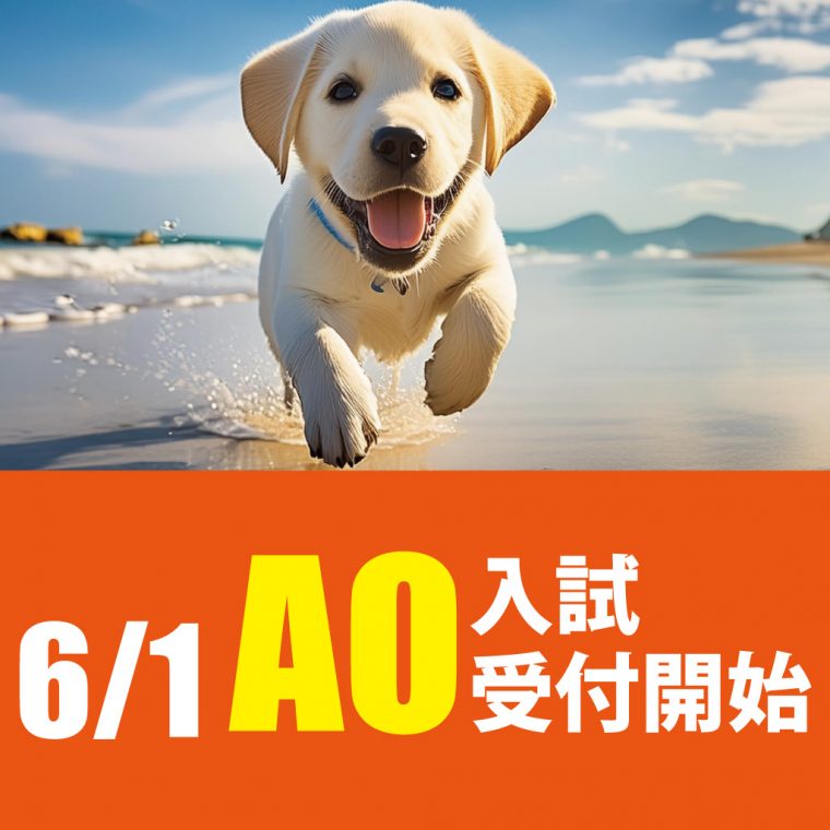 6/1 AO入試受付開始 | 学校法人IPC学園 愛知ペット専門学校